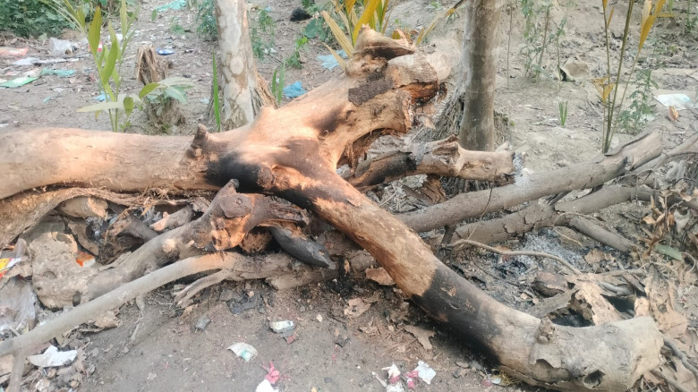 নড়াইলরে কালিয়ায় বো'মা সদৃশ্য বস্তুর বি'স্ফো'রণ, চতুর্থ শ্রেণির এক শিক্ষার্থী আহত!...
