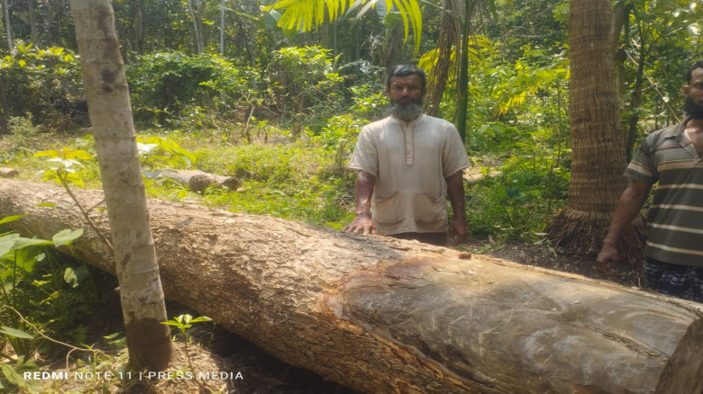 হতদরিদ্র মোস্তফা শেখের পৈতৃক জমি প্রভাব খাটিয়ে দখলের অভিযোগ...