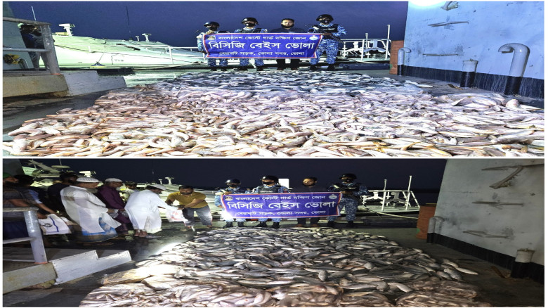 কোস্ট গার্ডের অভিযানে ভোলার ভেদুরিয়ায় ৫৫০ কেজি জাটকা জব্দ...