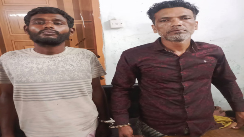ডিএনসি'র অভিযানে ভৈরবে ২ মাদকসেবী আটক, ভ্রাম্যমাণ আদালতে সাজা...