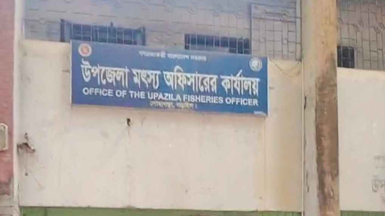 নড়াইলের লোহাগড়ায় প্রকল্প বাস্তবায়নে অনিয়ম তথ্য গোপন অনুদানের ৬০টি গরু গেল কোথায়...