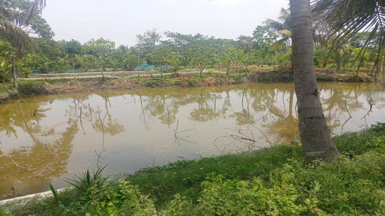 বাগেরহাটে খাস জমি অবমুক্ত করলেন এসিল্যান্ড, পুকুর দখল নিয়ে প্রধান শিক্ষককে প্রাণনাশের হুমকির অভিযোগ...
