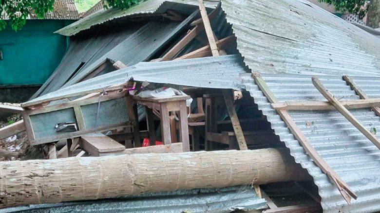 নড়াইলের কালিয়ায় ক্লাস চলাকালে শ্রেণিকক্ষের ওপরে ভেঙে পড়ল গাছ, আহত ২...