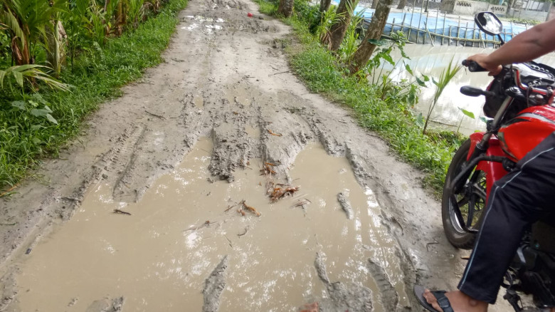 ইব্রাহিমপুর চরফতেজংপুর কাঁচা রাস্তা দ্রুত সংস্কারের দাবি এলাকাবাসীর...