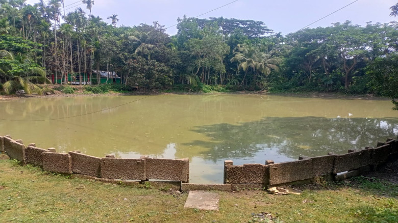 বিষ প্রয়োগ করে সরকারি পুকুরের মাছ মারার অভিযোগ স্থানীয় বিএনপি নেতাদের বিরুদ্ধে...