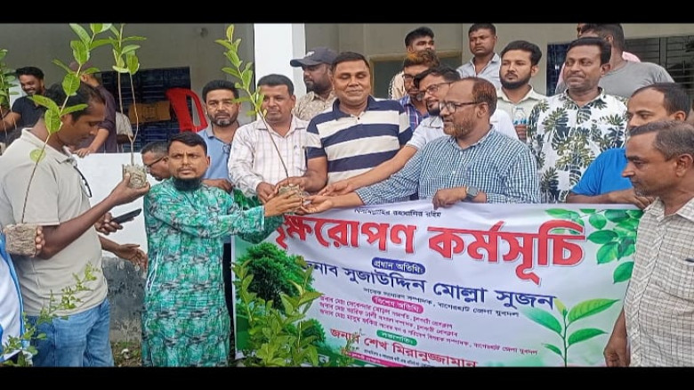 নাজিম উদ্দিন ফাউন্ডেশনের উদ্যোগে বৃক্ষরোপণ কর্মসূচি ও গাছের চারা বিতরণ...