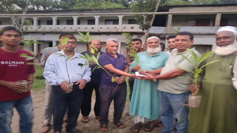 চুলকাটিতে শিক্ষার্থীদের মাঝে নাজিম উদ্দিন ফাউন্ডেশনের চেয়ারম্যানের গাছের চারা ও খেলার সরঞ্জাম বিতরণ