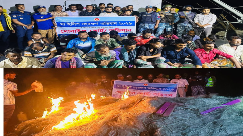 হাইমচরে মা ইলিশ সংরক্ষণ অভিযানে ২৮ জেলে আটক, ৫০ হাজার মিটার কারেন্ট জাল জব্দ